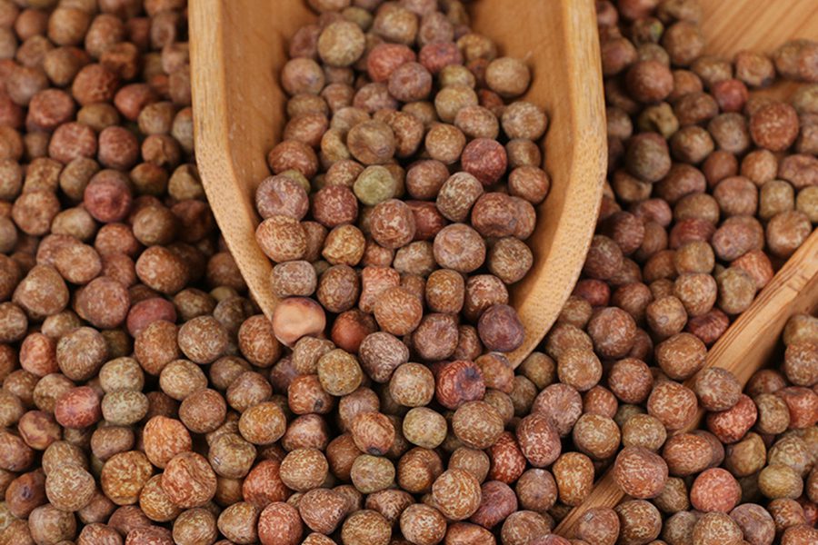 kacang polong berbintik-bintik gansu
